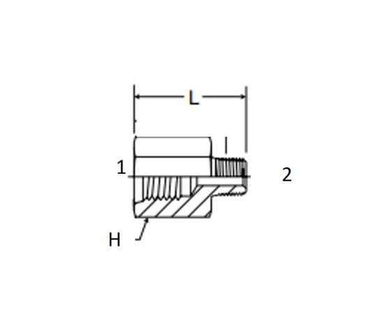 Adaptador Hidráulico Hembra Oring Boss 1/2" X 1/2" Macho NPT - Image 2