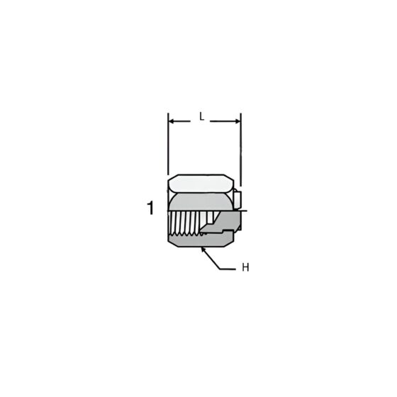 Adaptador Hidráulico Tapon Hembra JIC 1 1/4 - Image 2